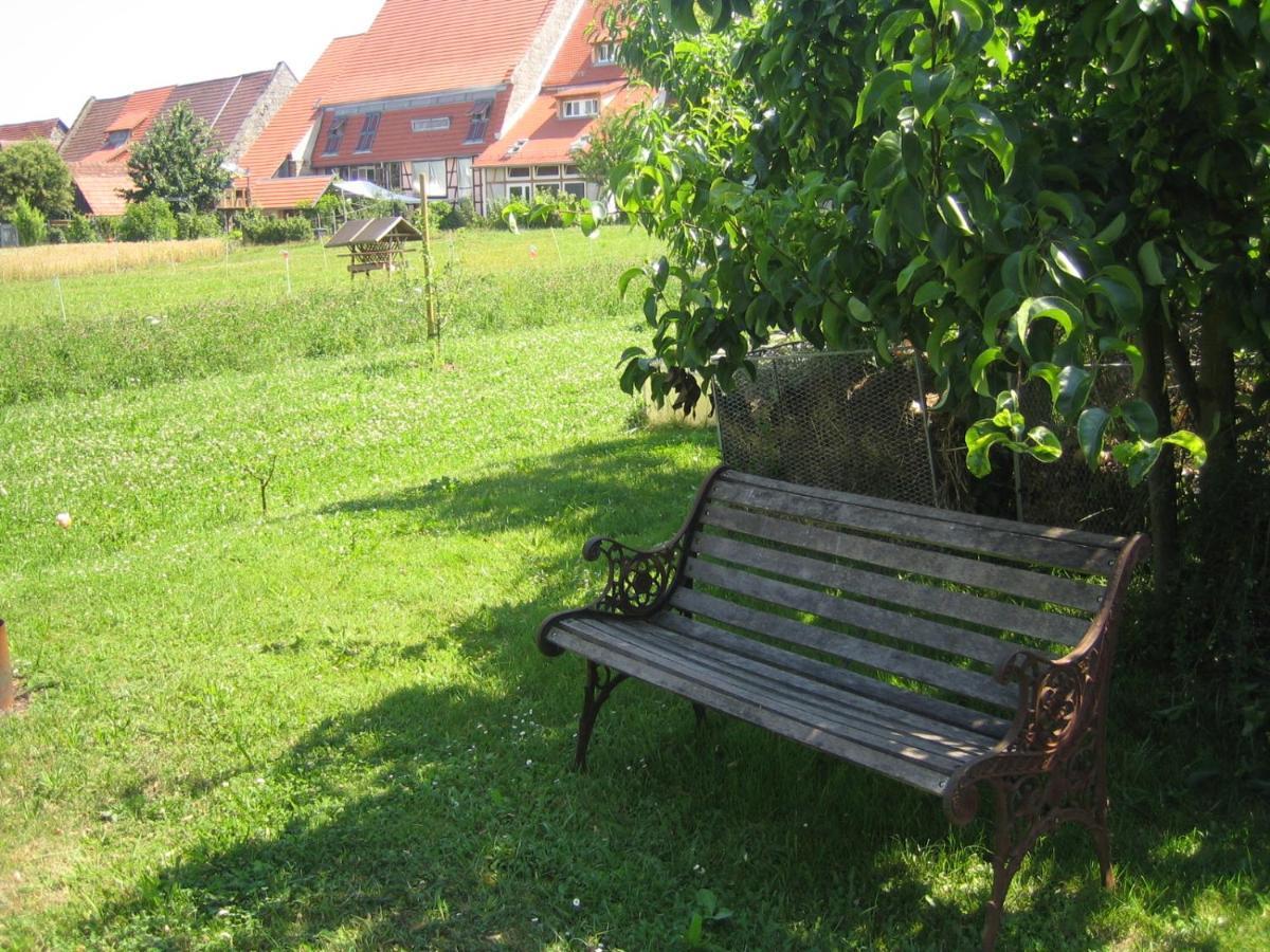 Apartment & Zimmer Familie Trescher Tübingen Dış mekan fotoğraf
